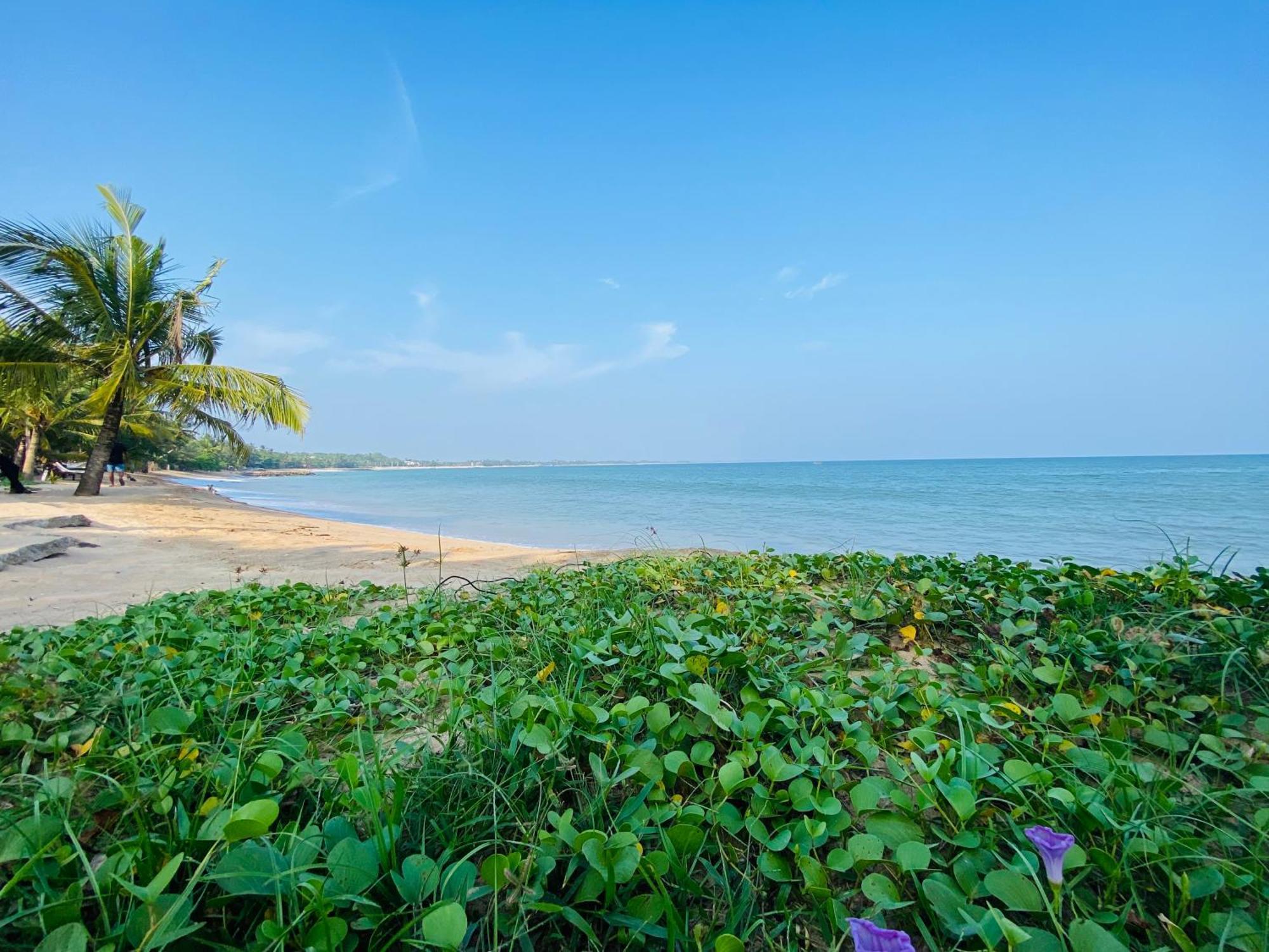 Thaprobana Villa Tangalle - Private Villa エクステリア 写真