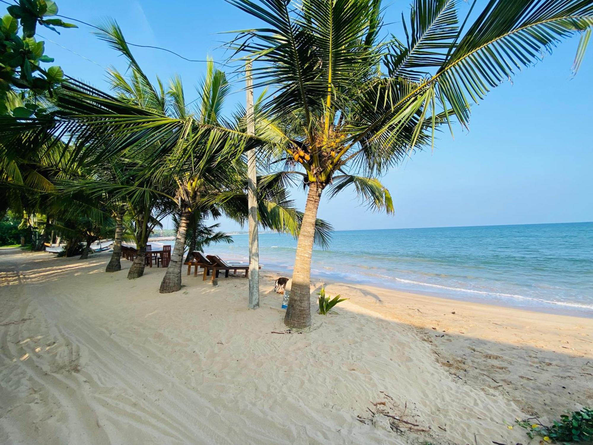 Thaprobana Villa Tangalle - Private Villa エクステリア 写真